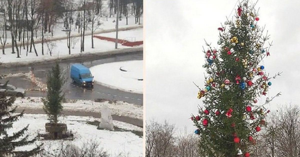 «Ёлочка, уймись...» В подмосковном городе власти порадовали жителей вот таким уродцем 