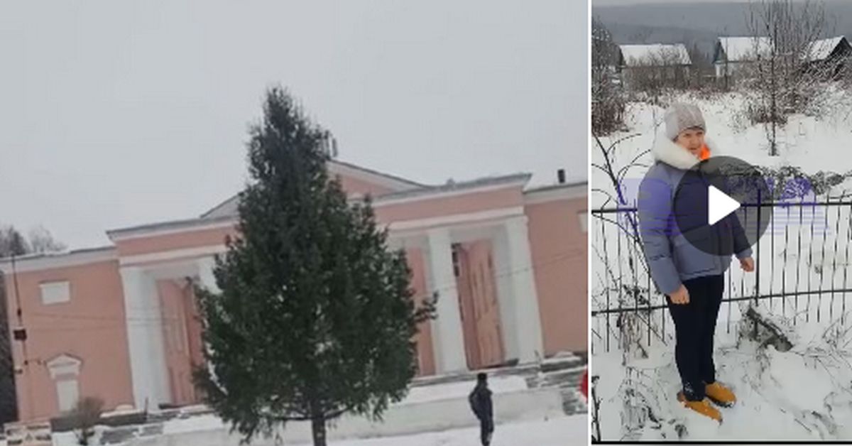 Стыдно: на Урале чиновники, чтобы нарядить город к Новогодью, украли ель с частного участка